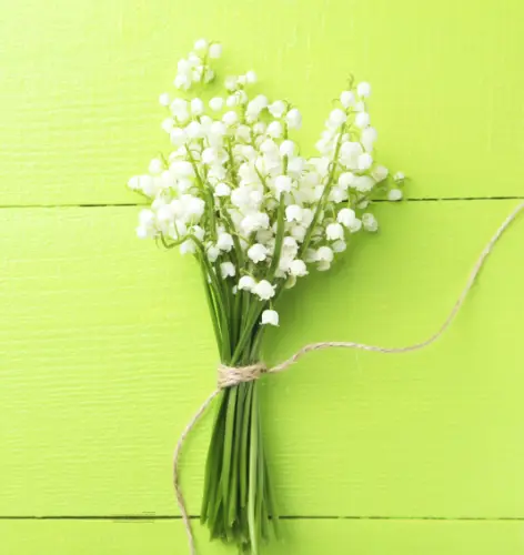Bouquet de muguet